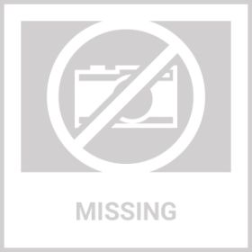 Tenlamp G9-BM800 Sound Card Set, The Best Choice For Freelance Creators, For Live Streaming, Singing, And Video Producers (Option: G9 BM800)